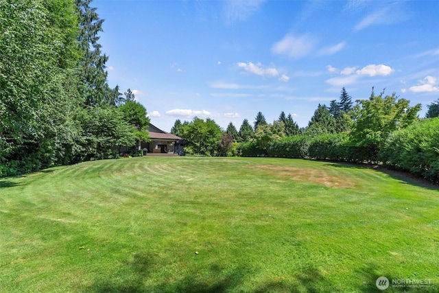 2428 258th St NE, Arlington, WA 98223 - photo 36