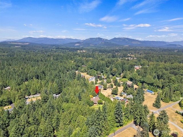 2428 258th St NE, Arlington, WA 98223 - photo 39