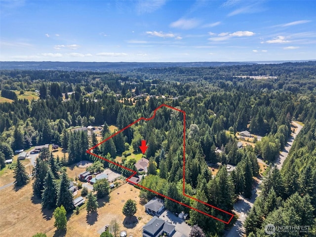 2428 258th St NE, Arlington, WA 98223 - photo 40