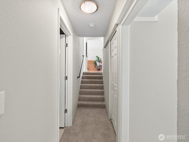 31405 NE 106th St, Carnation, WA 98014 - photo 20