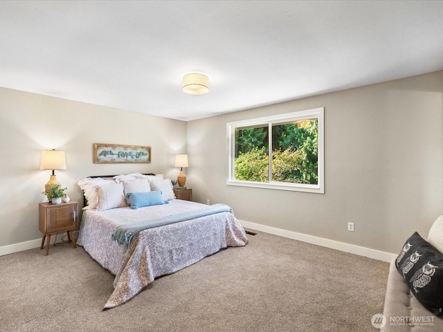31405 NE 106th St, Carnation, WA 98014 - photo 13