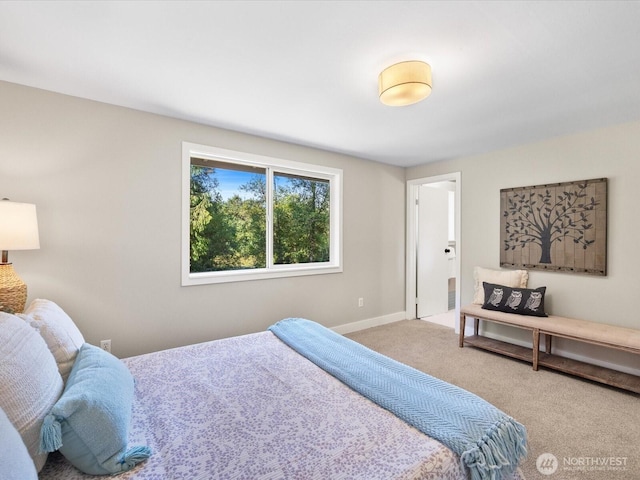 31405 NE 106th St, Carnation, WA 98014 - photo 14