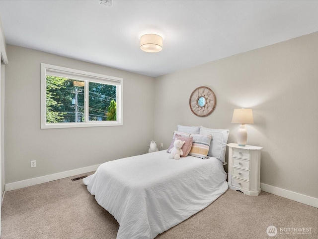 31405 NE 106th St, Carnation, WA 98014 - photo 17