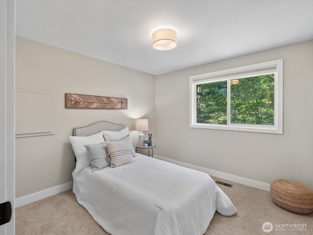 31405 NE 106th St, Carnation, WA 98014 - photo 19