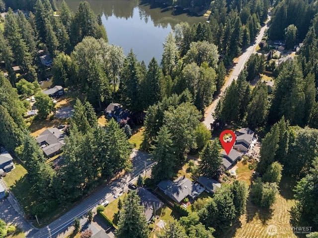31405 NE 106th St, Carnation, WA 98014 - photo 29