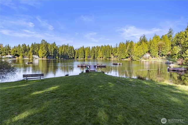 31405 NE 106th St, Carnation, WA 98014 - photo 33