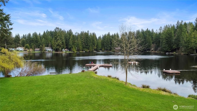 31405 NE 106th St, Carnation, WA 98014 - photo 34