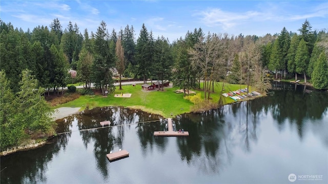 31405 NE 106th St, Carnation, WA 98014 - photo 35