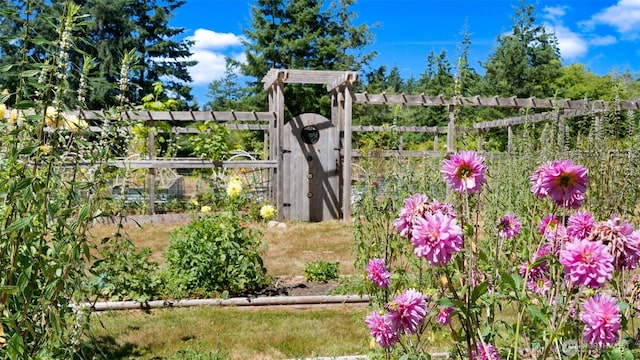 9922 132nd St NW, Gig Harbor, WA 98329 - photo 7