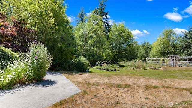 9922 132nd St NW, Gig Harbor, WA 98329 - photo 6