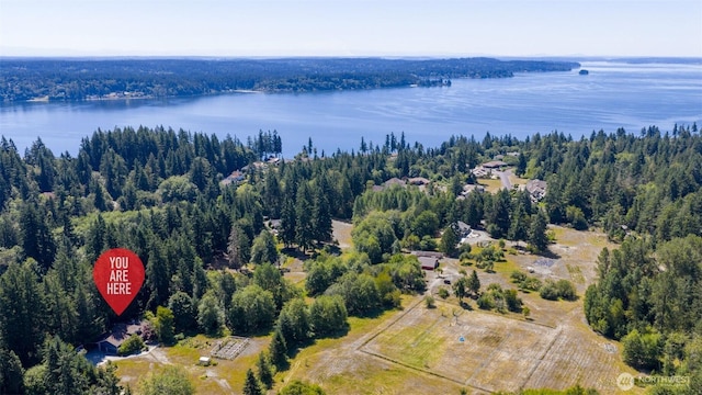 9922 132nd St NW, Gig Harbor, WA 98329 - photo 39
