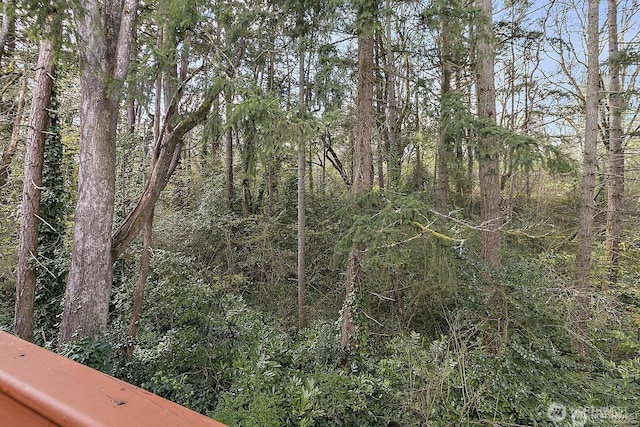 7802 S Junett St, Tacoma, WA 98409 - photo 18