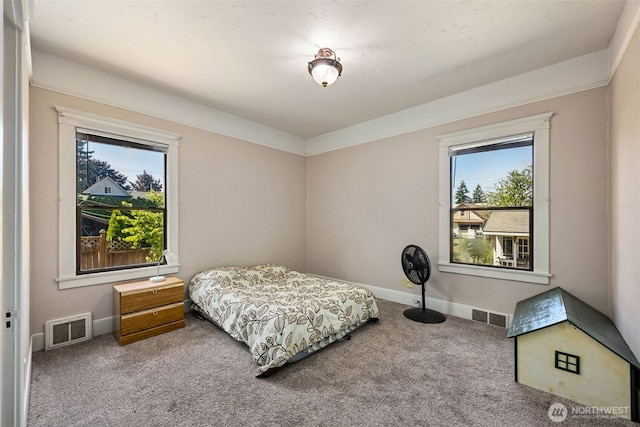 668 NW Folsom St, Chehalis, WA 98532 - photo 13