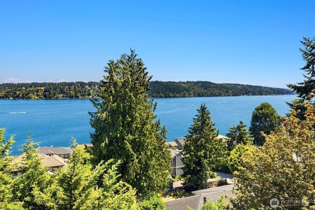 3825 NE 155th Pl Unit 300, Lake Forest Park, WA 98155 - photo 24