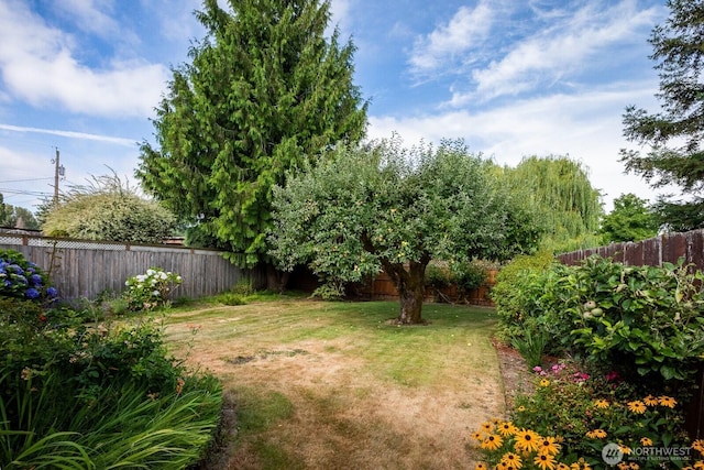 926 7th St SW, Puyallup, WA 98371 - photo 29