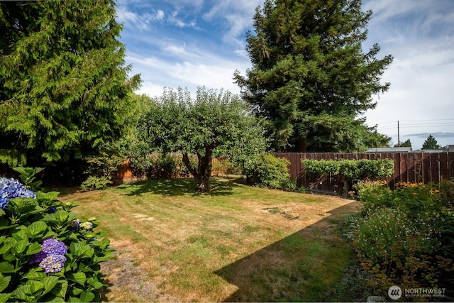 926 7th St SW, Puyallup, WA 98371 - photo 30