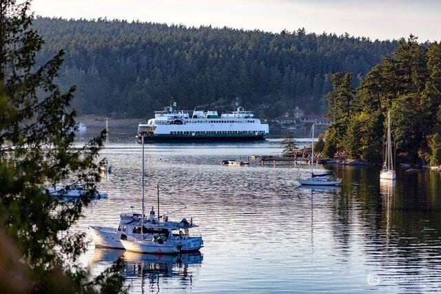 630 Harrison St, Friday Harbor, WA 98250 - photo 7