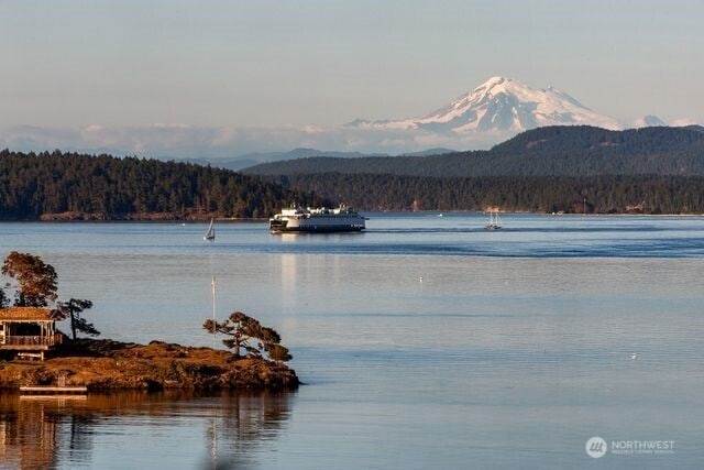 630 Harrison St, Friday Harbor, WA 98250 - photo 3