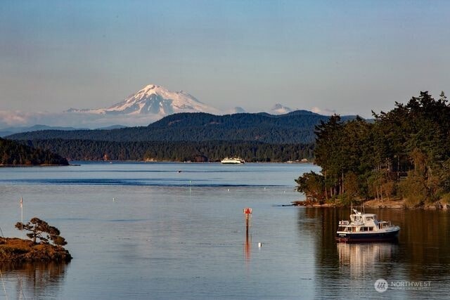 630 Harrison St, Friday Harbor, WA 98250 - photo 8
