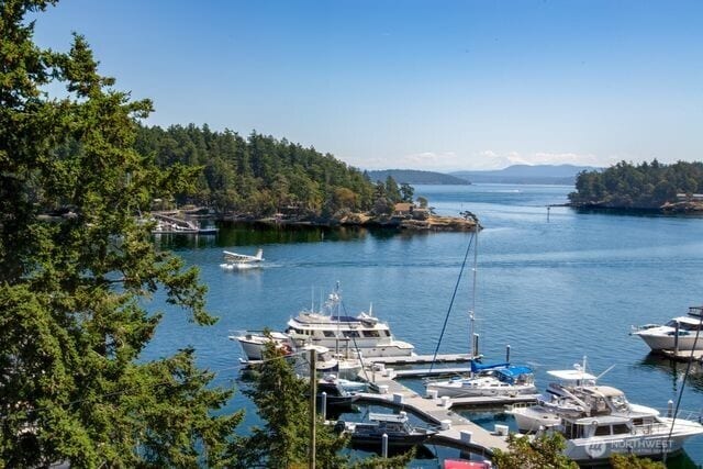 630 Harrison St, Friday Harbor, WA 98250 - photo 9