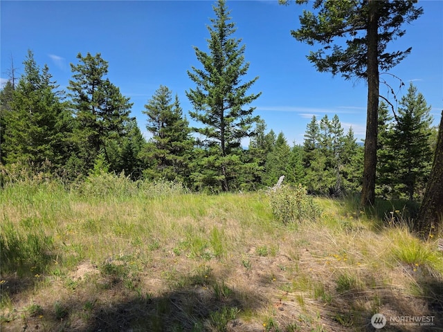 70 Forest Rd, Oroville, WA 98844 - photo 5