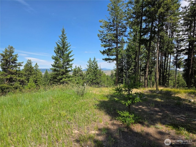 70 Forest Rd, Oroville, WA 98844 - photo 7
