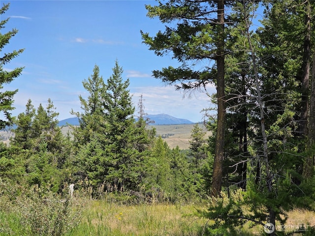 70 Forest Rd, Oroville, WA 98844 - photo 8