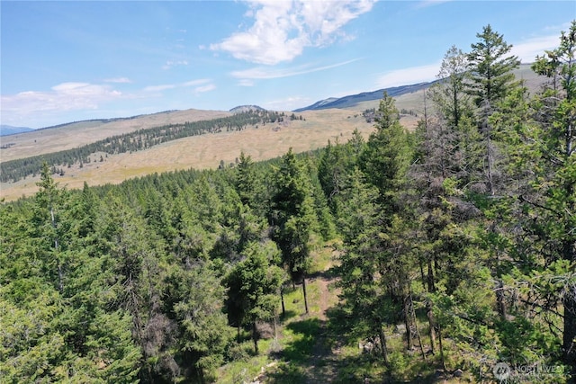 70 Forest Rd, Oroville, WA 98844 - photo 11