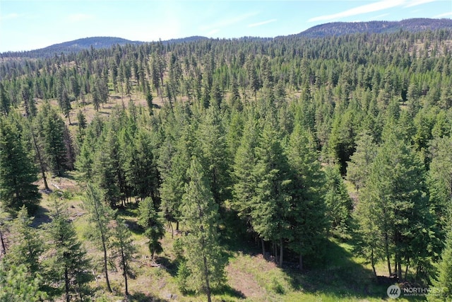 70 Forest Rd, Oroville, WA 98844 - photo 14