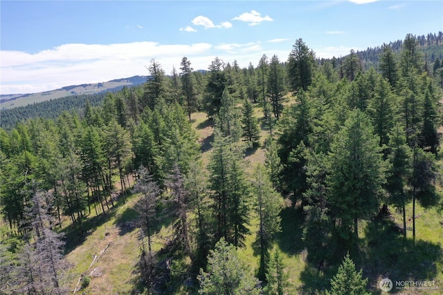 70 Forest Rd, Oroville, WA 98844 - photo 15