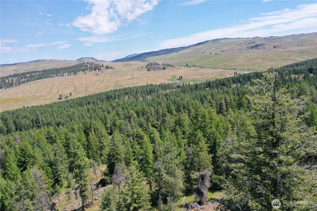 70 Forest Rd, Oroville, WA 98844 - photo 16