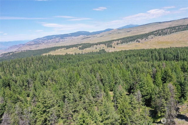 70 Forest Rd, Oroville, WA 98844 - photo 17