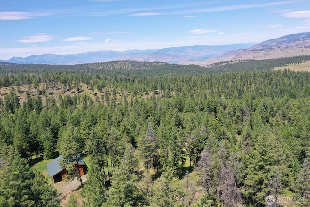 70 Forest Rd, Oroville, WA 98844 - photo 18
