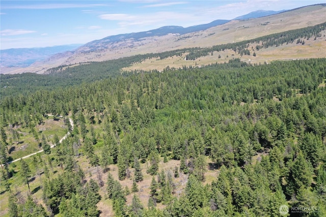 70 Forest Rd, Oroville, WA 98844 - photo 22