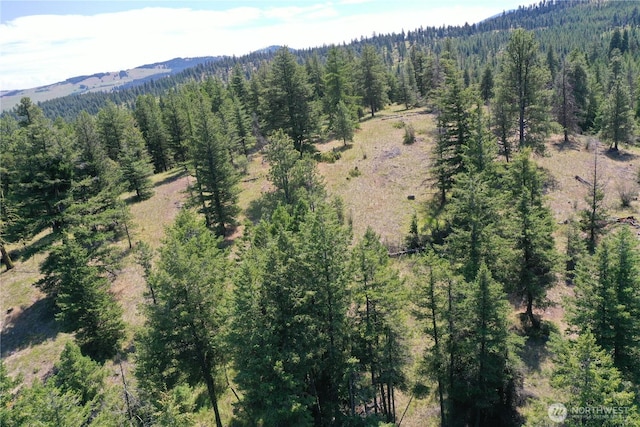 70 Forest Rd, Oroville, WA 98844 - photo 27