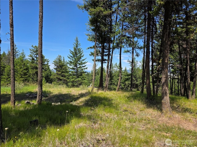 70 Forest Rd, Oroville, WA 98844 - photo 28