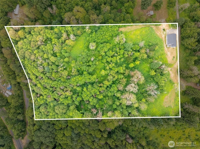 1443818 Loop Rd, Centralia, WA 98531 - photo 26