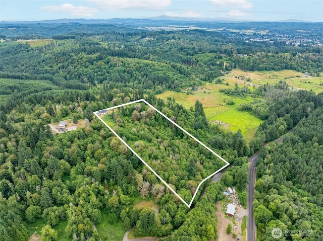1443818 Loop Rd, Centralia, WA 98531 - photo 29