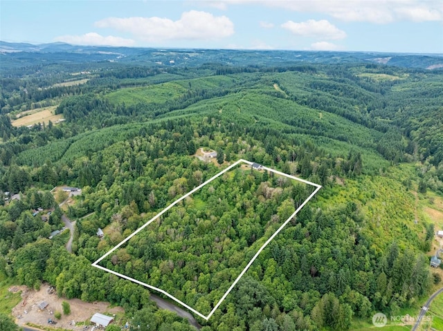 1443818 Loop Rd, Centralia, WA 98531 - photo 30