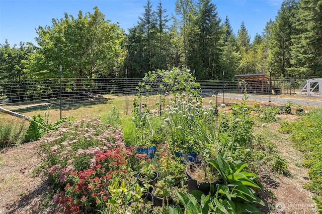 317 Cousins Rd, Chehalis, WA 98532 - photo 29