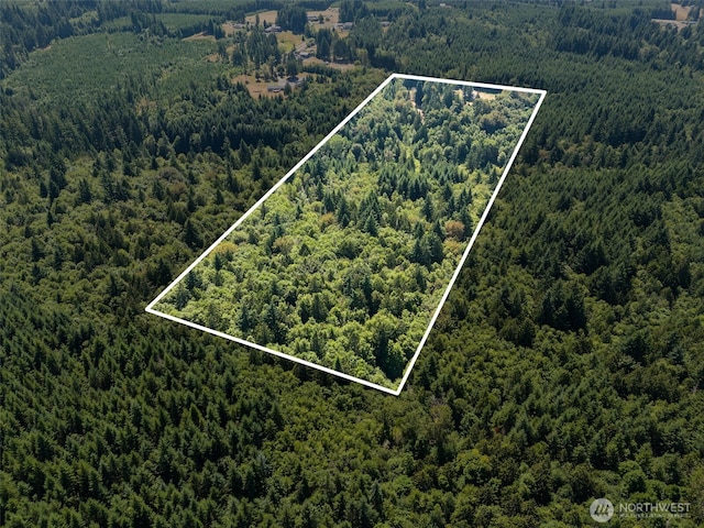 317 Cousins Rd, Chehalis, WA 98532 - photo 36