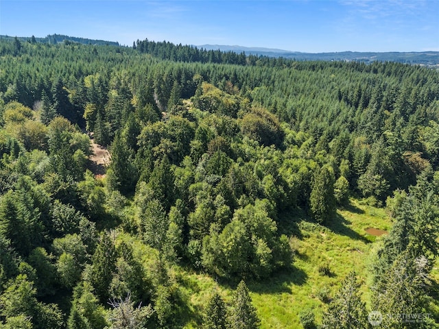317 Cousins Rd, Chehalis, WA 98532 - photo 37