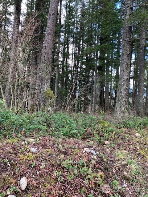 450XX SE N Bend Way, North Bend, WA 98045 - photo 1