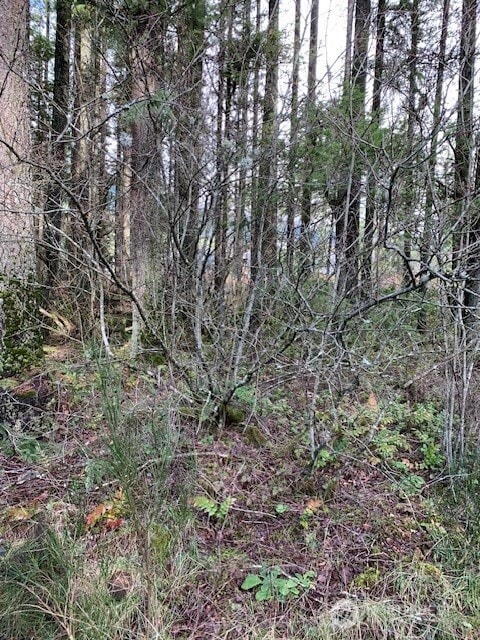 450XX SE N Bend Way, North Bend, WA 98045 - photo 2