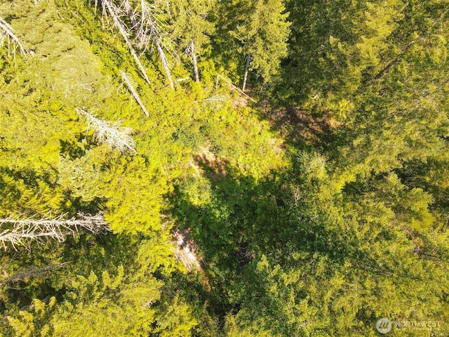 0 N Robinson Rd, Hoodsport, WA 98548 - photo 2