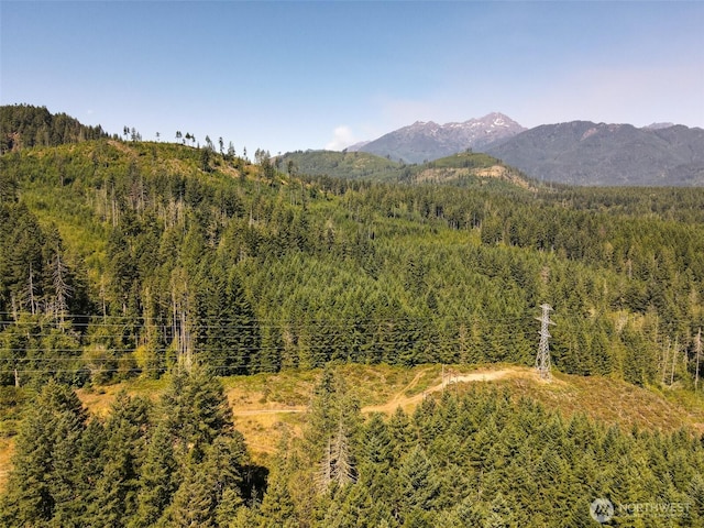 0 N Robinson Rd, Hoodsport, WA 98548 - photo 13
