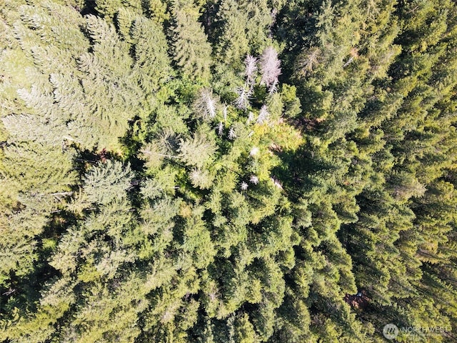 0 N Robinson Rd, Hoodsport, WA 98548 - photo 14