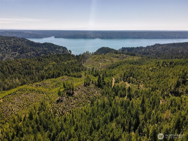 0 N Robinson Rd, Hoodsport, WA 98548 - photo 15