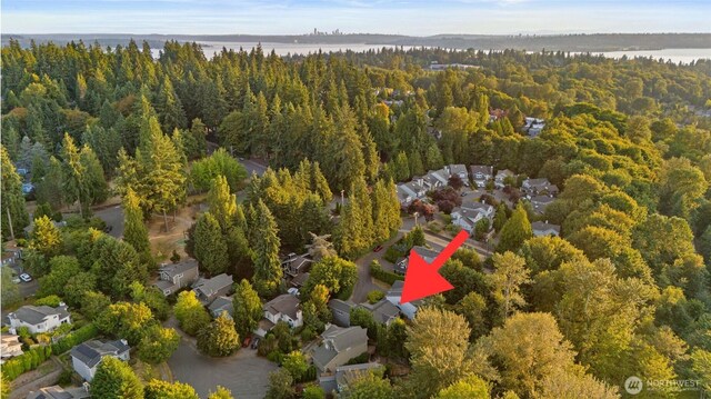 11624 NE 107th Ln, Kirkland, WA 98033 - photo 37