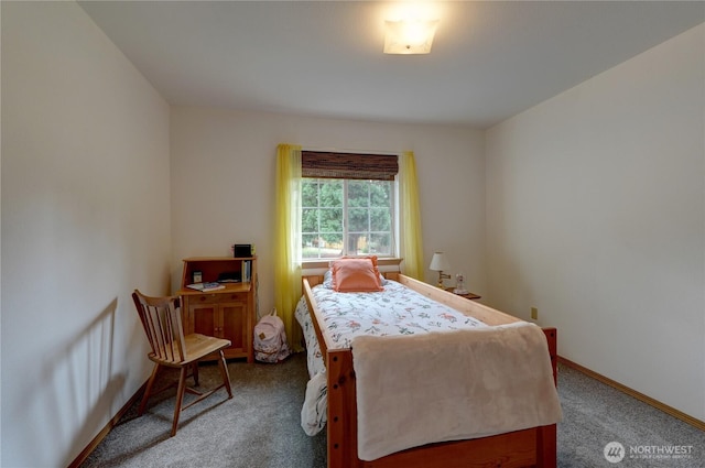 10902 88th Ave SW, Lakewood, WA 98498 - photo 20